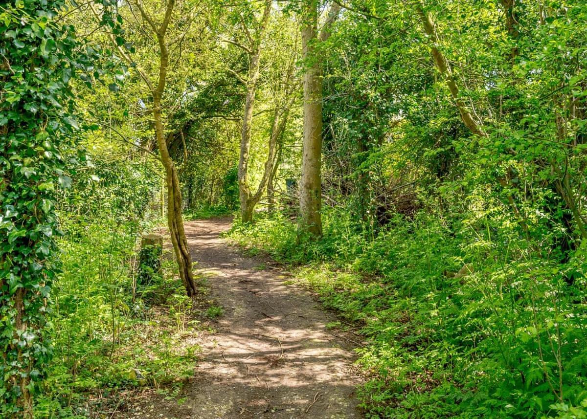 Canterbury Reach Lodge Retreat Petham Bagian luar foto