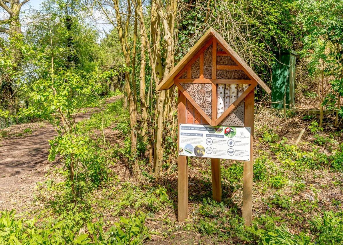 Canterbury Reach Lodge Retreat Petham Bagian luar foto